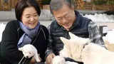 Former South Korean President Moon Jae-in likely to give up dogs gifted by Kim Jong-un