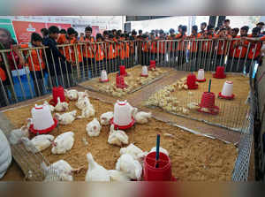 Bengaluru: Students watch broilers at a poultry stall during the 'Krishi Mela' 2...