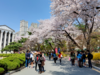 South Korea’s rise to become a trending study abroad destination