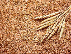 wheat-.