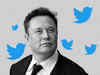 Elon Musk raises concerns over Twitter going bankrupt as many senior executives quit company