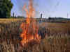 2,467 stubble burning incidents in Punjab in a day