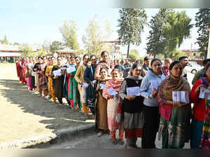 Assembly elections 2022: 66% voter turnout in Himachal Pradesh, world's highest booth sees 100% polling