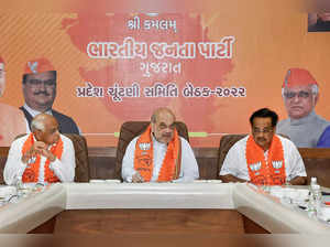Gandhinagar: Union Home Minister Amit Shah with Gujarat Chief Minister Bhupendra...