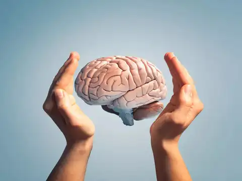Enhances brain function​