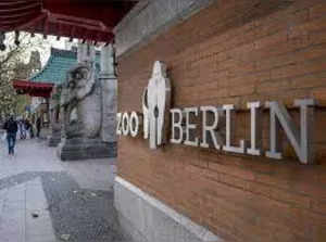 Berlin zoo closed due to bird flu outbreak