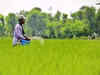 India imports 23.4 lakh tons of fertiliser in October