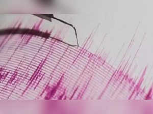 6.2-magnitude earthquake hits Mexico, tremors felt in Southern California