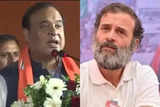 Rahul Gandhi looks like Saddam Hussein: Assam CM Himanta Biswa Sarma