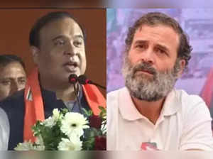 Rahul Gandhi looks like Saddam Hussain now: Assam CM