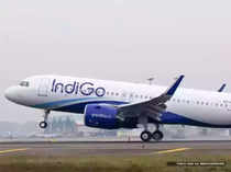 IndiGo loader falls asleep in cargo compartment of Mumbai-Abu Dhabi flight; found safe on arrival