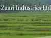 Agri input accounted for Rs 48 cr of revenues: Zuari Inds