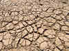 Jharkhand govt demands Rs 9,682-cr package for drought-hit blocks from Centre