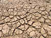 Jharkhand govt demands Rs 9,682-cr package for drought-hit blocks from Centre