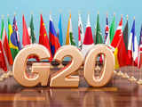 India briefs G20 states on its priorities at picturesque setting of Andamans