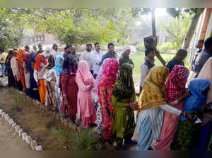 Gurugram, Nov 12 (ANI): Voters stand in queues to cast their votes at a polling ...