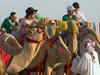 Watch: World Cup tourists put strain on Qatar camels