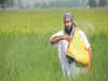 Pre-Budget discussions: Fertilizer Ministry sees subsidy bill at ?2.30 Lakh Cr; FinMin disagrees