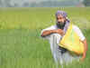 Pre-Budget discussions: Fertilizer Ministry sees subsidy bill at ₹2.30 Lakh Cr; FinMin disagrees
