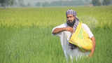 Pre-Budget discussions: Fertilizer Ministry sees subsidy bill at ₹2.30 Lakh Cr; FinMin disagrees