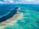 Great Barrier Reef should be put on 'in danger' list, UN panel says