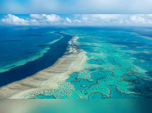 Great Barrier Reef AP