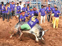 https://img.etimg.com/thumb/msid-95860836,width-200,height-150/news/india/when-law-bans-cruelty-there-cant-be-amending-act-perpetuating-cruelty-jallikattu-petitioners-tell-supreme-court.jpg