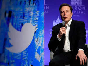 Elon Musk floats 'general amnesty' of suspended Twitter accounts