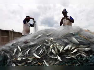 Sri Lankan Navy detains 23 Indian fishermen