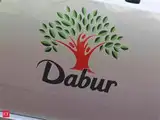 Stock Radar: Dabur India breaks above bullish flag patte; fresh record highs possible
