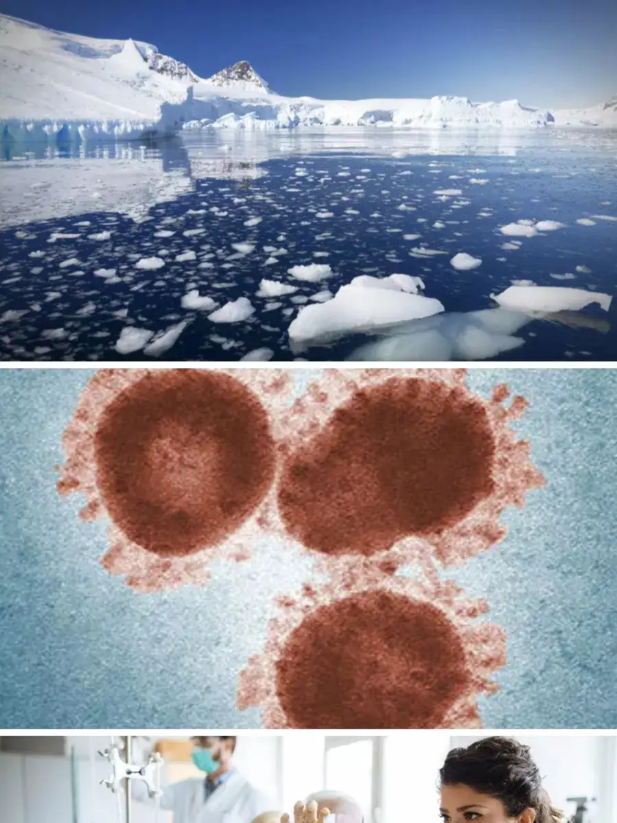 Zombie virus Here’s Everything You Need To Know About 50KYrOld