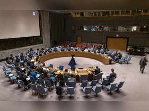 UN Security Council