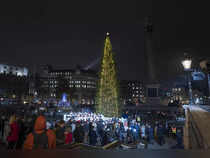 Britain Norway Christmas Tree