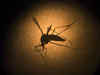 Zika virus detected in Pune patient: Here's all we know about his symptoms