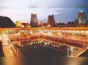 Meenakshi temple gets new website