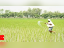The key pulses produced in the Kharif season are Tur, Urad, and Moong