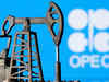 No OPEC oil shakeup as Russian price cap stirs uncertainty