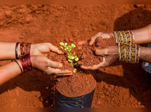 World Soil Day 2022: History, significance and theme of the day