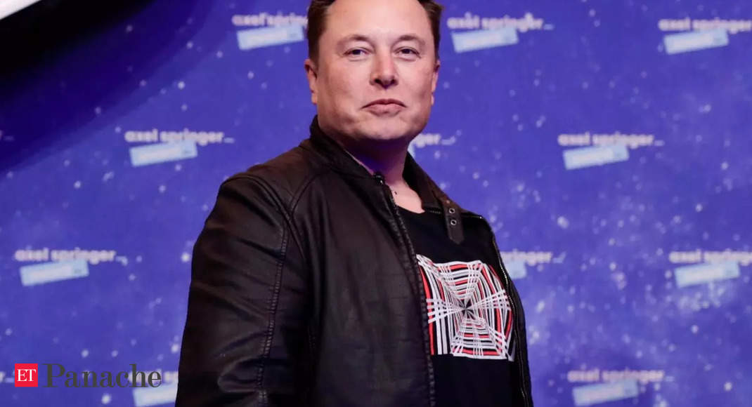 Elon Musk News: Elon Musk fears the risk of 'being shot' is quite significant, says not hard to kill somebody