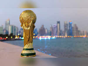 Travel survival guide for FIFA World Cup 2022: Information about Qatar