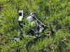 Drone, 2.5 kg heroin recovered near India-Pakistan border in Punjab's Tarn Taran; fourth incident in 4 days