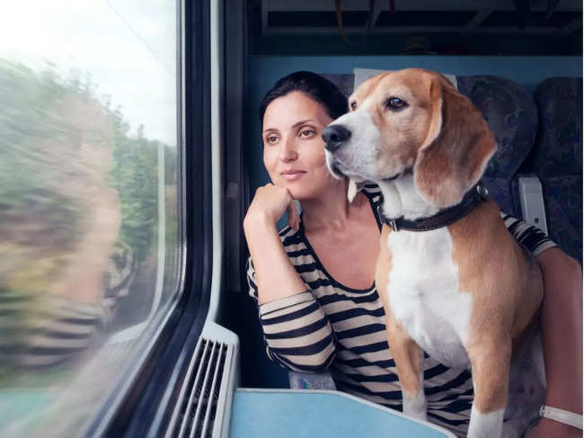 pet travel India: A journey to remember! Over 1.5K fur babies have  travelled long-distance in train this year in India - The Economic Times