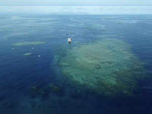 Australia argues against 'endangered' Barrier Reef status