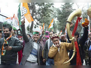 Kullu: Congress workers celebrates the party's victory in Himachal Pradesh Assem...