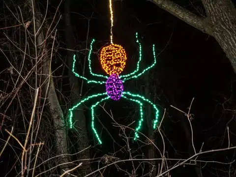 Ukraine - Christmas Spiders