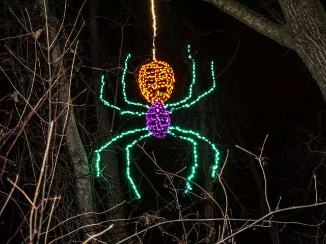 Ukraine - Christmas Spiders