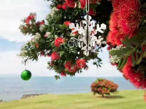 New Zealand - Sea Food & Pohutukawa