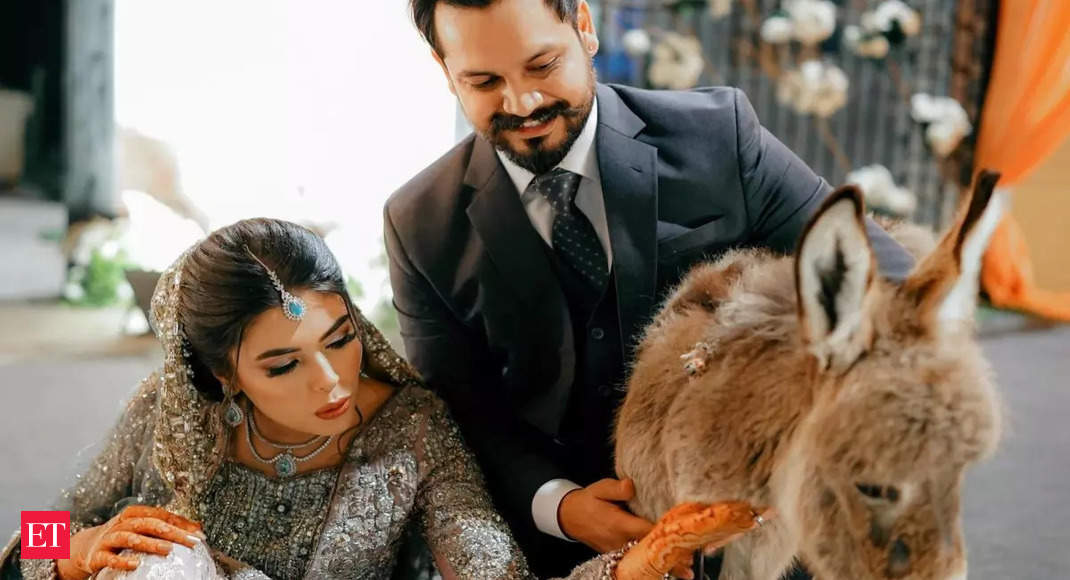 Pakistani YouTuber Azlan Shah gifts bride baby donkey on their wedding day
