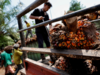 Top palm oil buyer India's November imports jump 29% to 1.14 mln tonnes