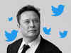 Explainer: How Elon Musk is changing your feed on Twitter